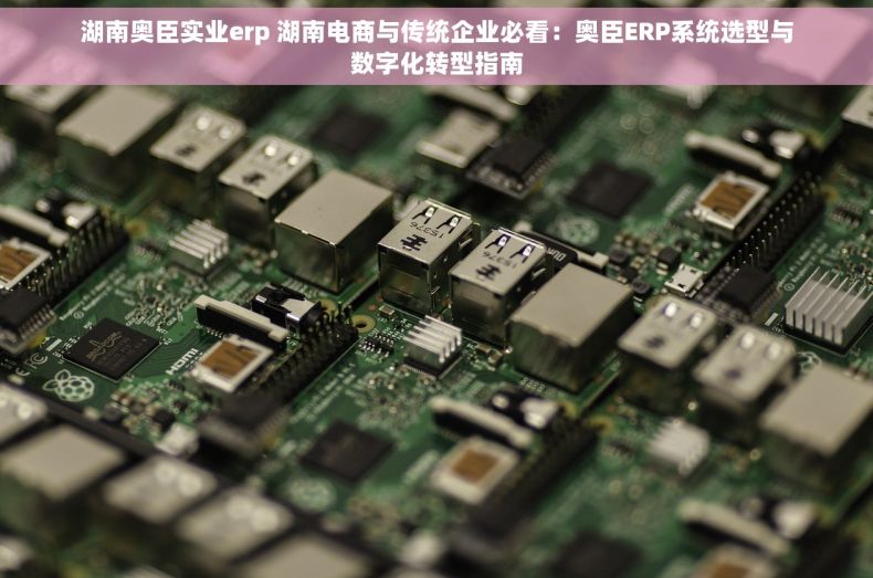 湖南奥臣实业erp 湖南电商与传统企业必看：奥臣ERP系统选型与数字化转型指南