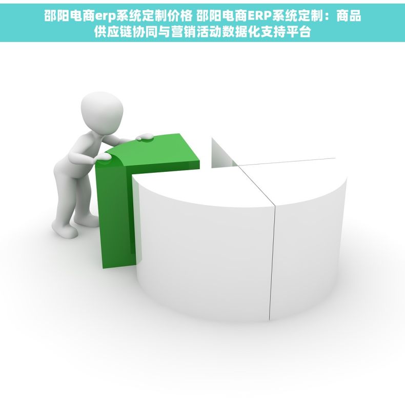 邵阳电商erp系统定制价格 邵阳电商ERP系统定制：商品供应链协同与营销活动数据化支持平台