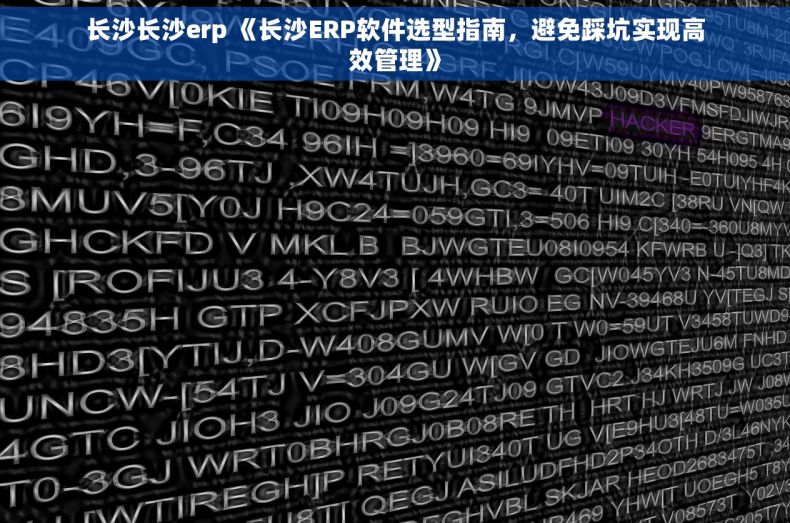 长沙长沙erp 《长沙ERP软件选型指南，避免踩坑实现高效管理》