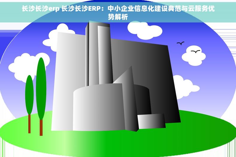 长沙长沙erp 长沙长沙ERP：中小企业信息化建设典范与云服务优势解析
