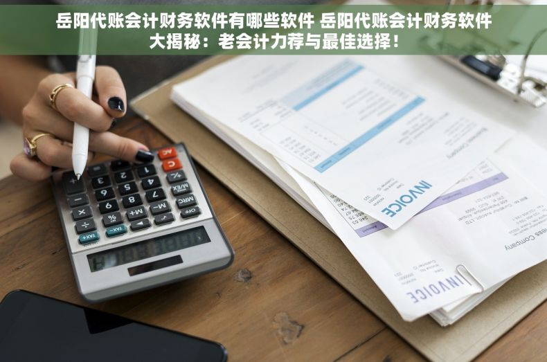 岳阳代账会计财务软件有哪些软件 岳阳代账会计财务软件大揭秘：老会计力荐与最佳选择！
