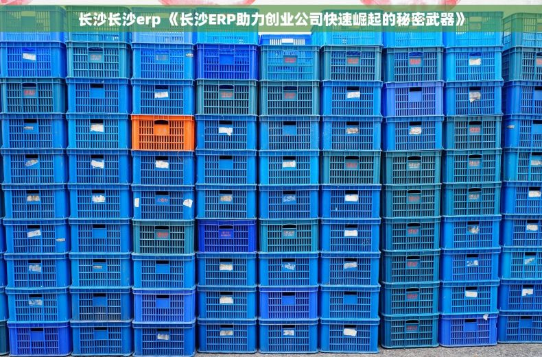 长沙长沙erp 《长沙ERP助力创业公司快速崛起的秘密武器》