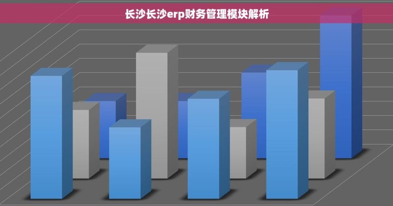 长沙长沙erp财务管理模块解析