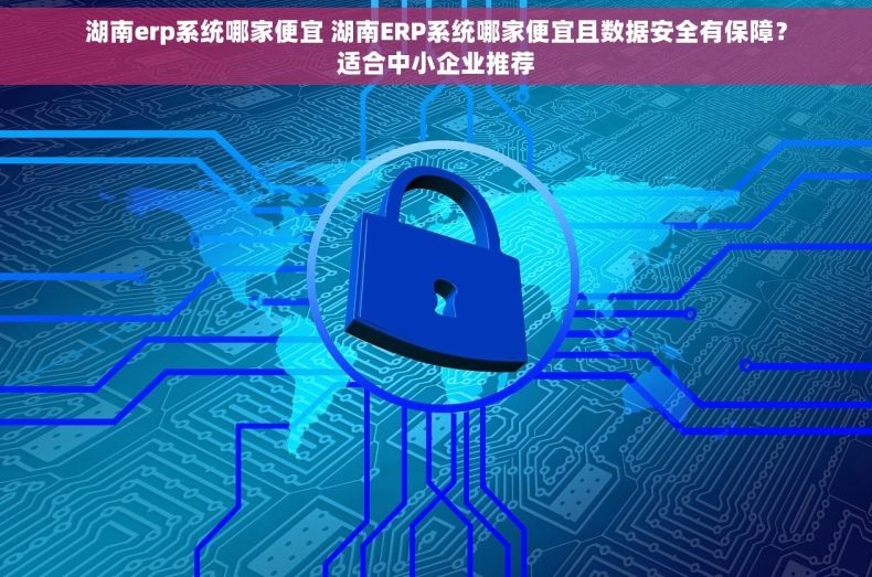 湖南erp系统哪家便宜 湖南ERP系统哪家便宜且数据安全有保障？适合中小企业推荐