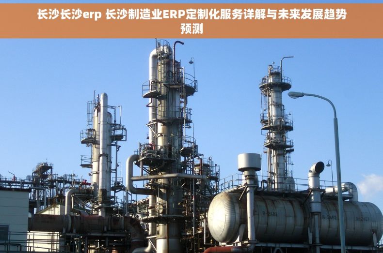 长沙长沙erp 长沙制造业ERP定制化服务详解与未来发展趋势预测