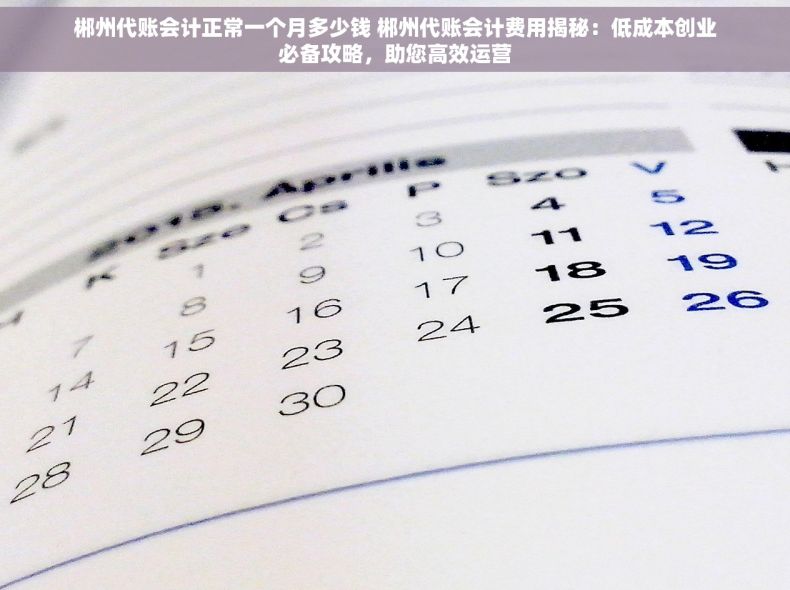 郴州代账会计正常一个月多少钱 郴州代账会计费用揭秘：低成本创业必备攻略，助您高效运营