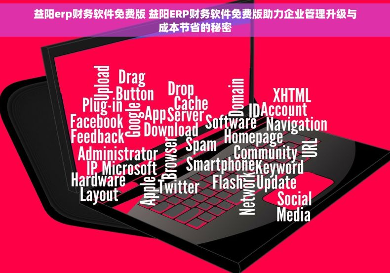 益阳erp财务软件免费版 益阳ERP财务软件免费版助力企业管理升级与成本节省的秘密