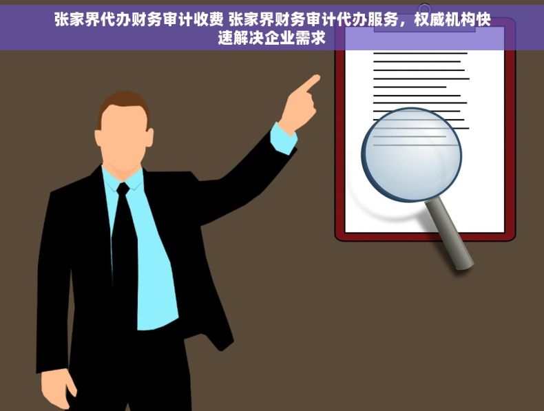 张家界代办财务审计收费 张家界财务审计代办服务，权威机构快速解决企业需求