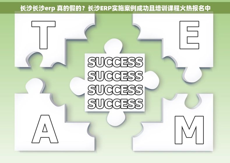 长沙长沙erp 真的假的？长沙ERP实施案例成功且培训课程火热报名中