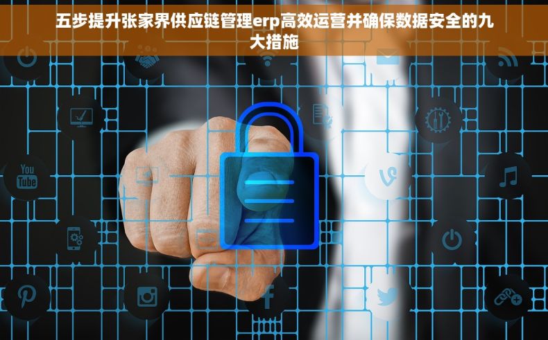 五步提升张家界供应链管理erp高效运营并确保数据安全的九大措施