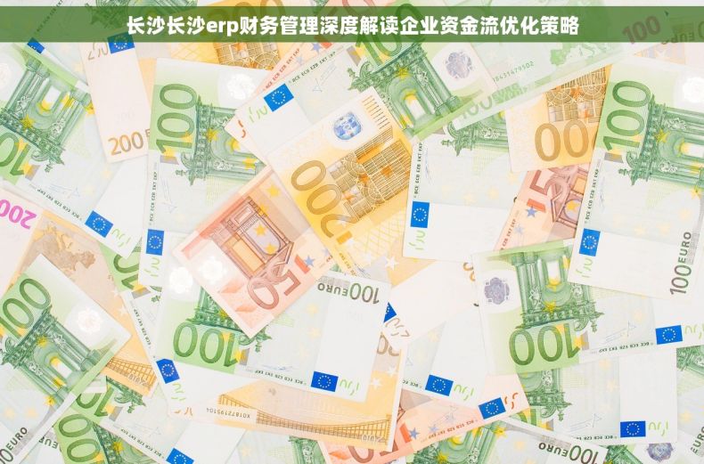 长沙长沙erp财务管理深度解读企业资金流优化策略