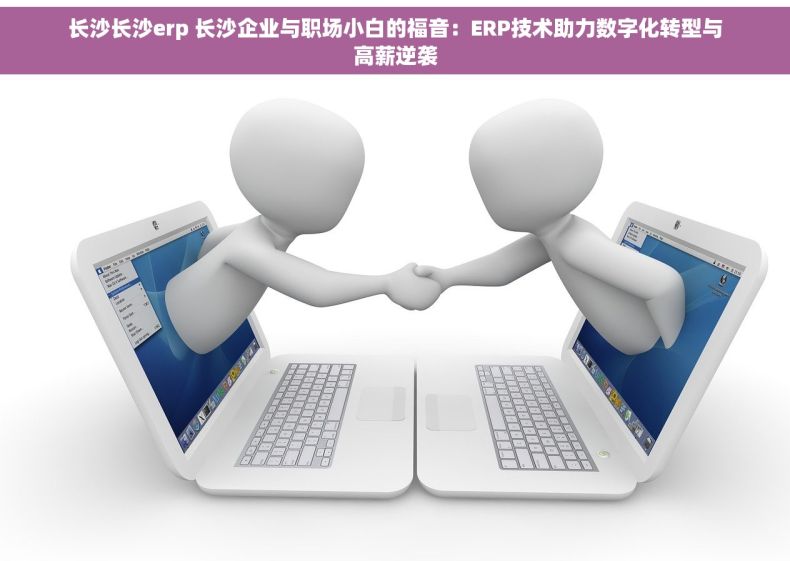 长沙长沙erp 长沙企业与职场小白的福音：ERP技术助力数字化转型与高薪逆袭