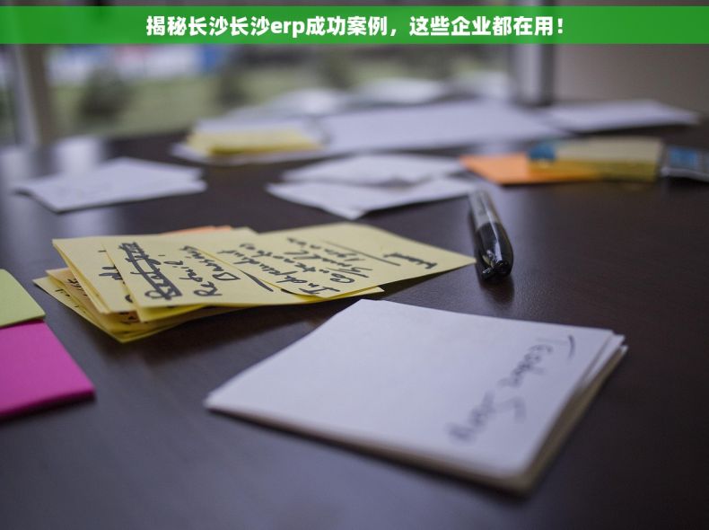 揭秘长沙长沙erp成功案例，这些企业都在用！