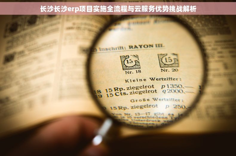 长沙长沙erp项目实施全流程与云服务优势挑战解析
