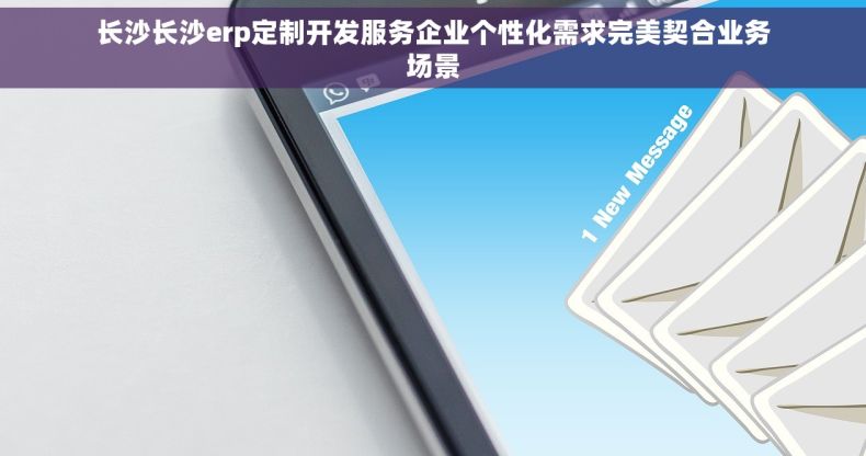 长沙长沙erp定制开发服务企业个性化需求完美契合业务场景