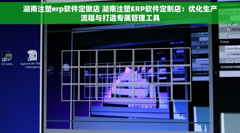 湖南注塑erp软件定做店 湖南注塑ERP软件定制店：优化生产流程与打造专属管理工具