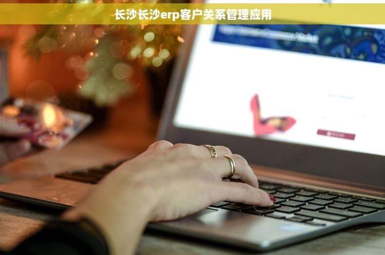 长沙长沙erp客户关系管理应用