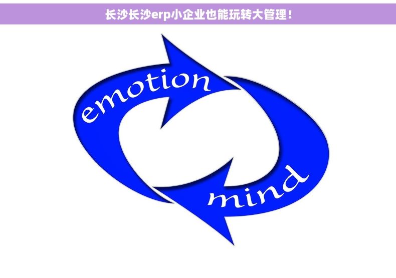 长沙长沙erp小企业也能玩转大管理！