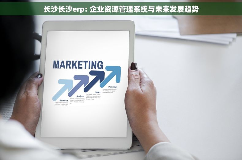 长沙长沙erp: 企业资源管理系统与未来发展趋势