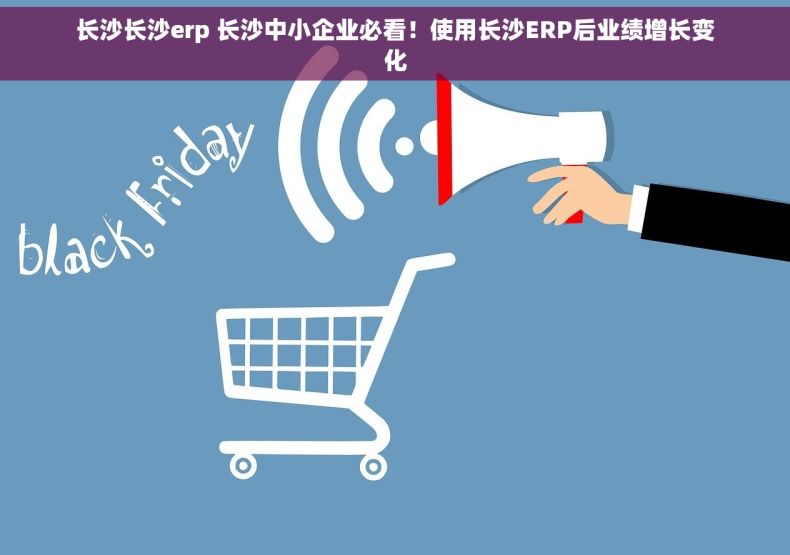 长沙长沙erp 长沙中小企业必看！使用长沙ERP后业绩增长变化