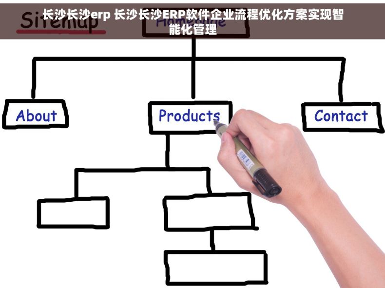 长沙长沙erp 长沙长沙ERP软件企业流程优化方案实现智能化管理