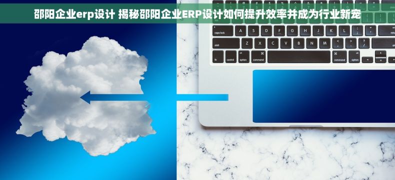 邵阳企业erp设计 揭秘邵阳企业ERP设计如何提升效率并成为行业新宠