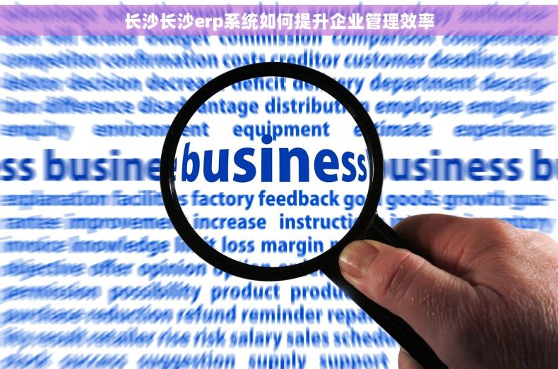 长沙长沙erp系统如何提升企业管理效率