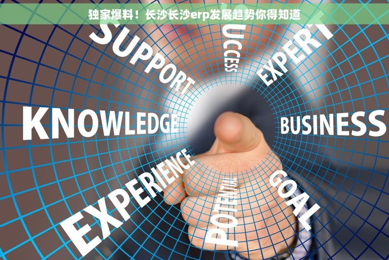 独家爆料！长沙长沙erp发展趋势你得知道