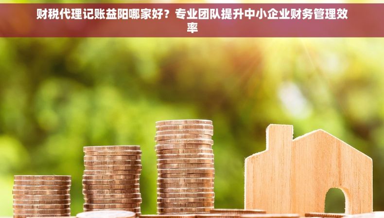 财税代理记账益阳哪家好？专业团队提升中小企业财务管理效率
