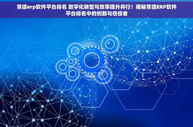 常德erp软件平台排名 数字化转型与效率提升并行！揭秘常德ERP软件平台排名中的创新与佼佼者