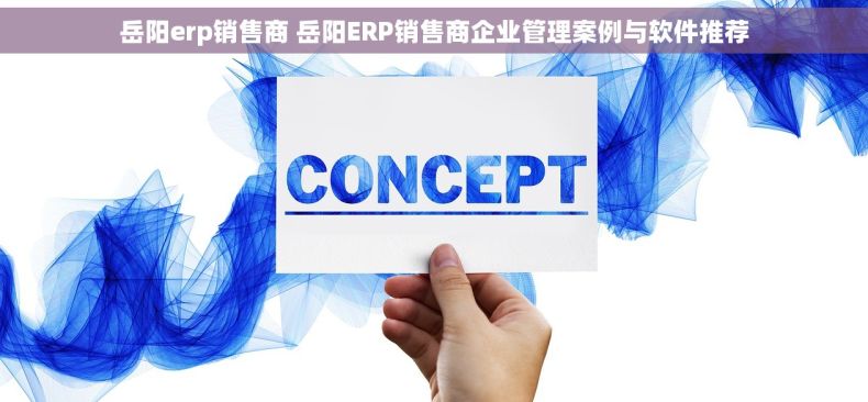 岳阳erp销售商 岳阳ERP销售商企业管理案例与软件推荐