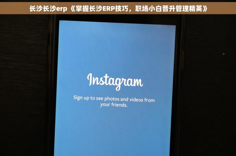 长沙长沙erp 《掌握长沙ERP技巧，职场小白晋升管理精英》