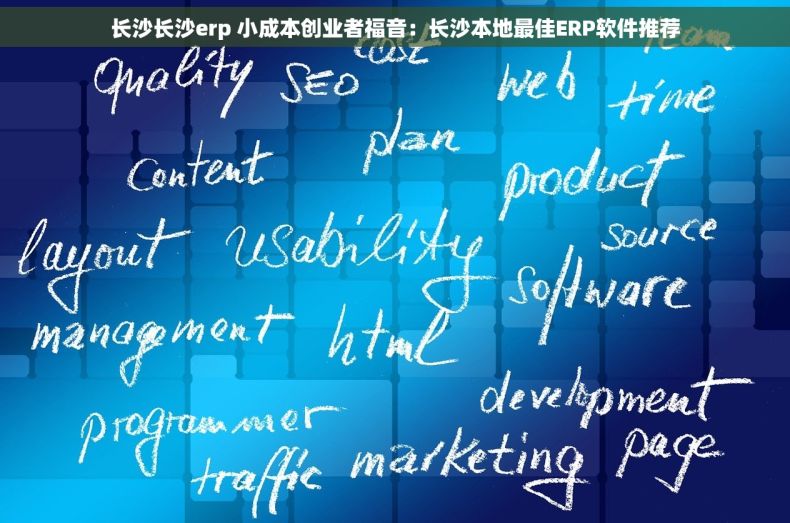 长沙长沙erp 小成本创业者福音：长沙本地最佳ERP软件推荐