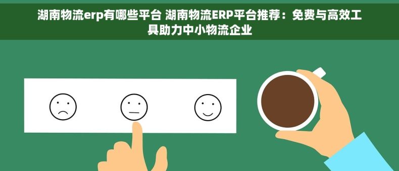 湖南物流erp有哪些平台 湖南物流ERP平台推荐：免费与高效工具助力中小物流企业