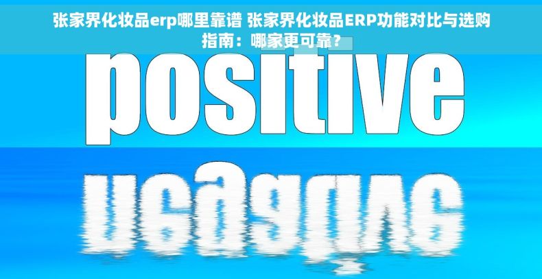 张家界化妆品erp哪里靠谱 张家界化妆品ERP功能对比与选购指南：哪家更可靠？