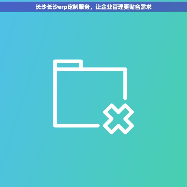 长沙长沙erp定制服务，让企业管理更贴合需求