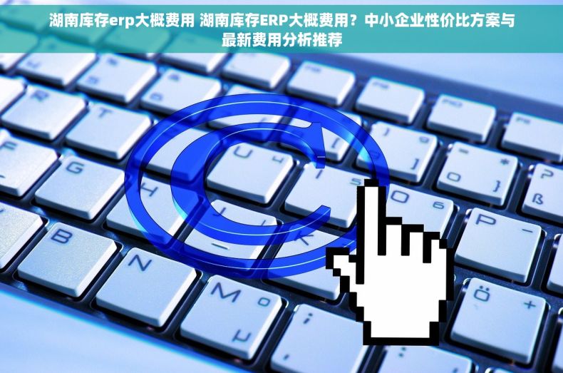 湖南库存erp大概费用 湖南库存ERP大概费用？中小企业性价比方案与最新费用分析推荐