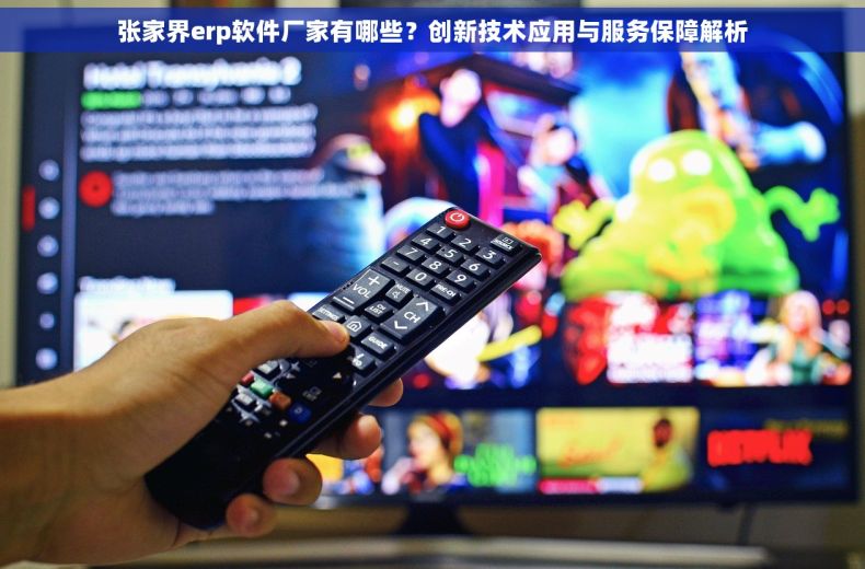 张家界erp软件厂家有哪些？创新技术应用与服务保障解析