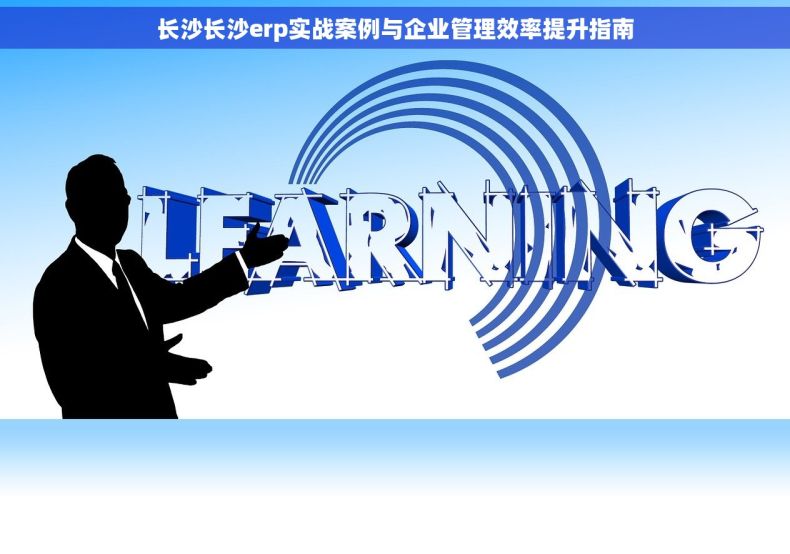 长沙长沙erp实战案例与企业管理效率提升指南