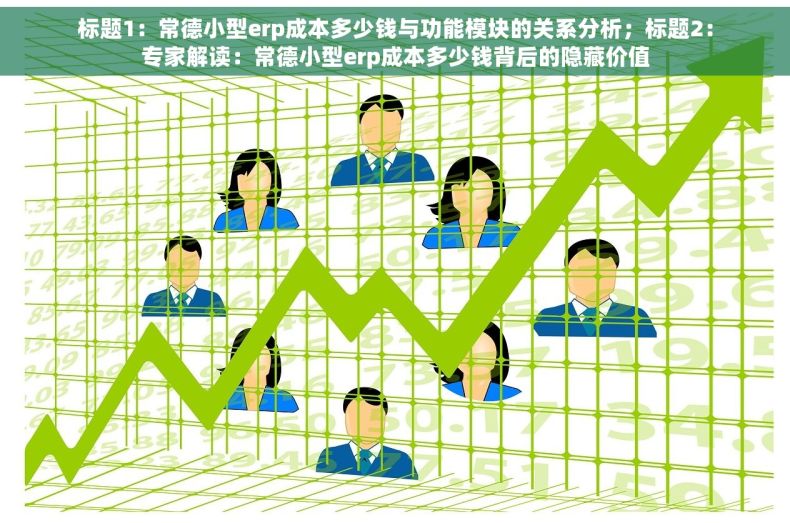标题1：常德小型erp成本多少钱与功能模块的关系分析；标题2：专家解读：常德小型erp成本多少钱背后的隐藏价值