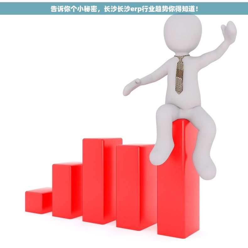 告诉你个小秘密，长沙长沙erp行业趋势你得知道！