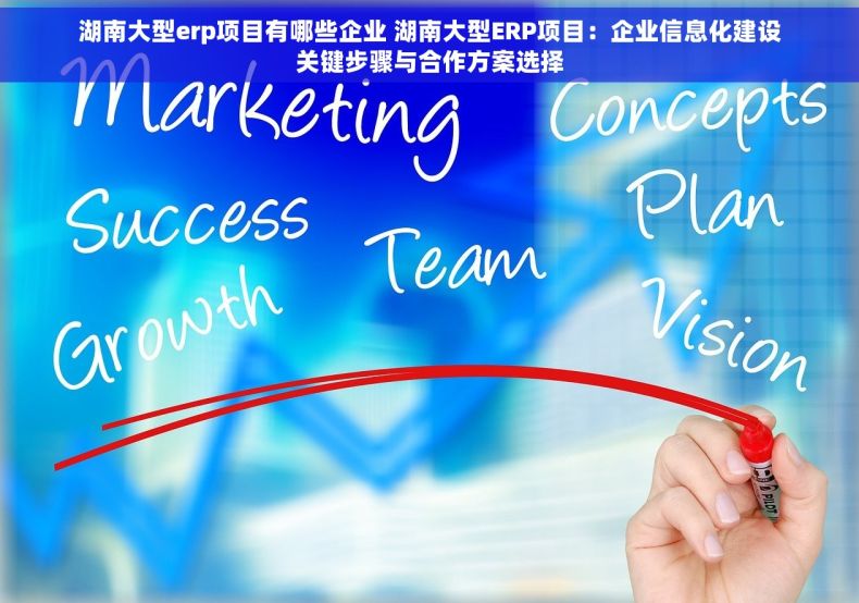 湖南大型erp项目有哪些企业 湖南大型ERP项目：企业信息化建设关键步骤与合作方案选择