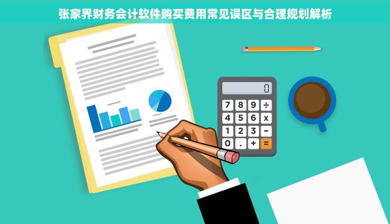 张家界财务会计软件购买费用常见误区与合理规划解析