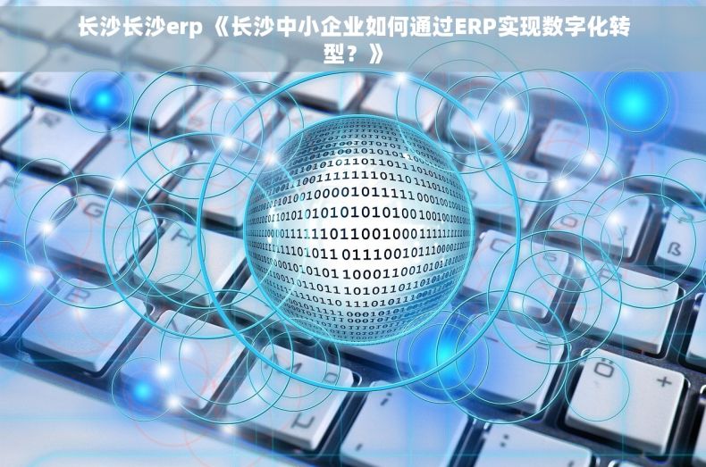 长沙长沙erp 《长沙中小企业如何通过ERP实现数字化转型？》