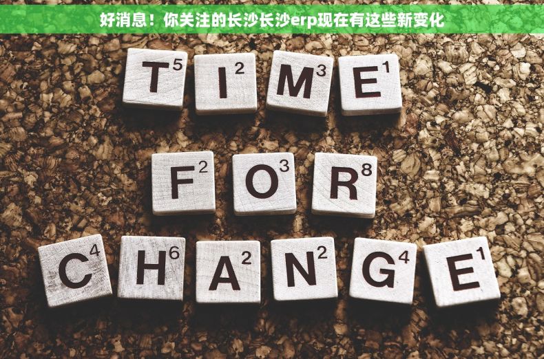 好消息！你关注的长沙长沙erp现在有这些新变化