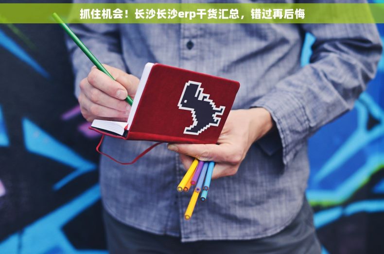 抓住机会！长沙长沙erp干货汇总，错过再后悔