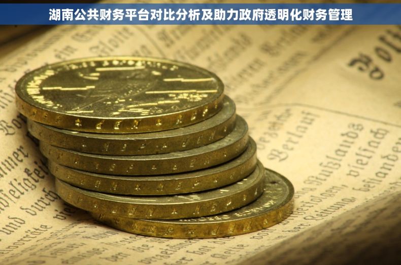 湖南公共财务平台对比分析及助力政府透明化财务管理