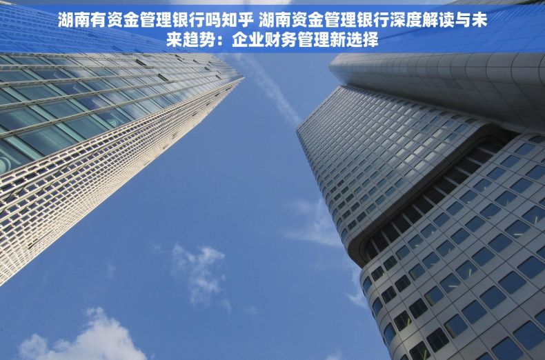 湖南有资金管理银行吗知乎 湖南资金管理银行深度解读与未来趋势：企业财务管理新选择
