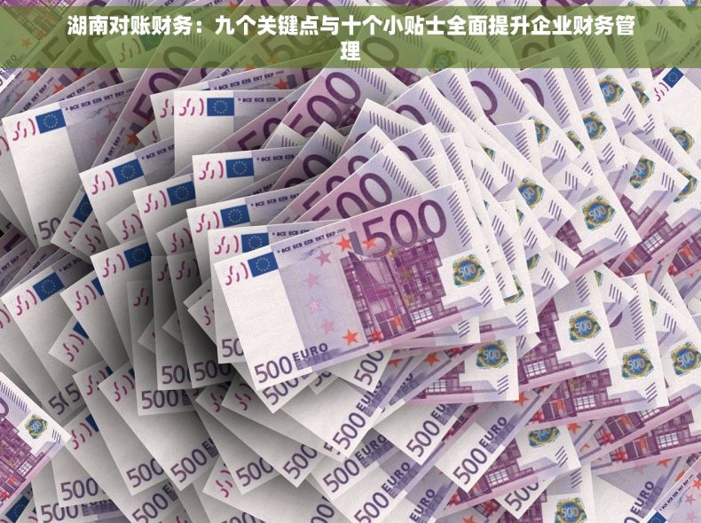 湖南对账财务：九个关键点与十个小贴士全面提升企业财务管理