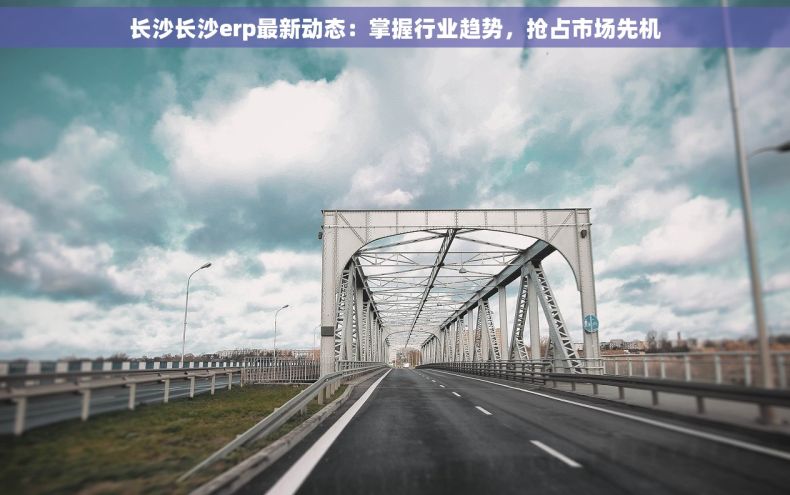 长沙长沙erp最新动态：掌握行业趋势，抢占市场先机